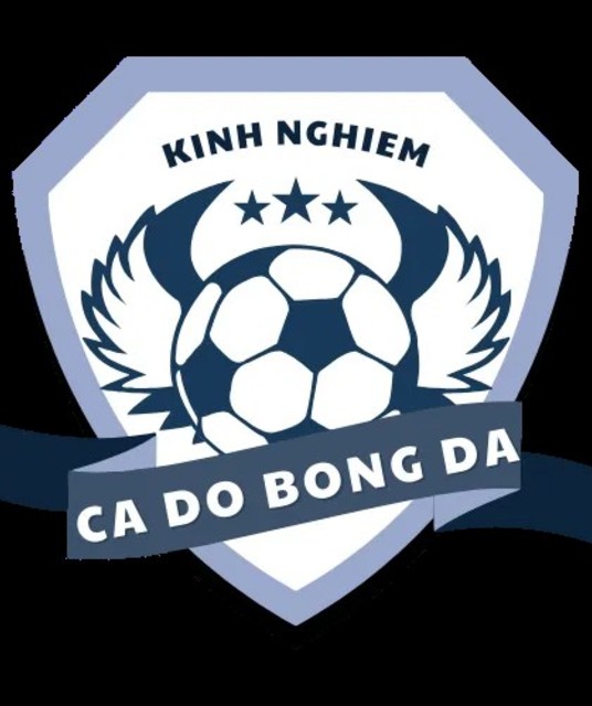 avatar CÁ ĐỘ BÓNG ĐÁ