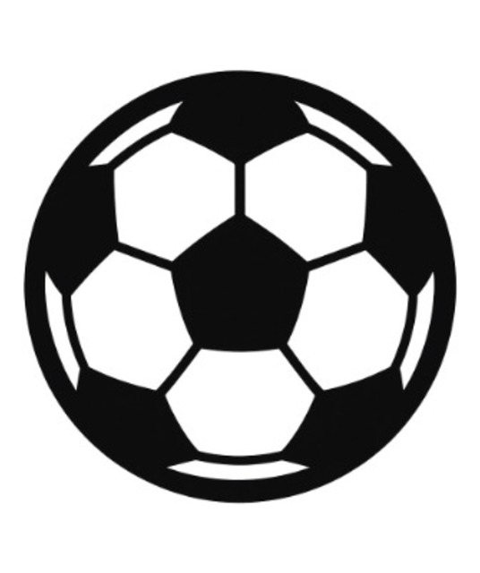 avatar CÁ ĐỘ BÓNG ĐÁ