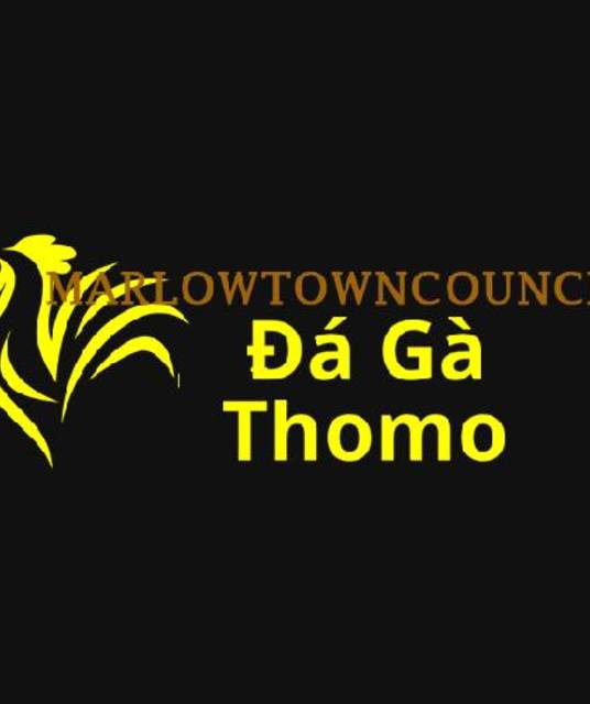 avatar Đá Gà Trực Tiếp Thomo