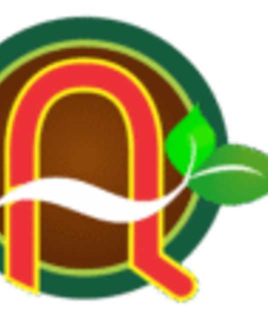 avatar Macca Anh Quốc