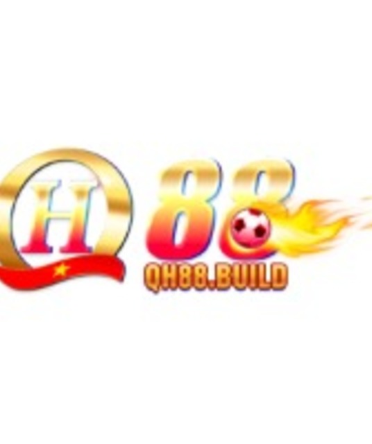 avatar QH88build