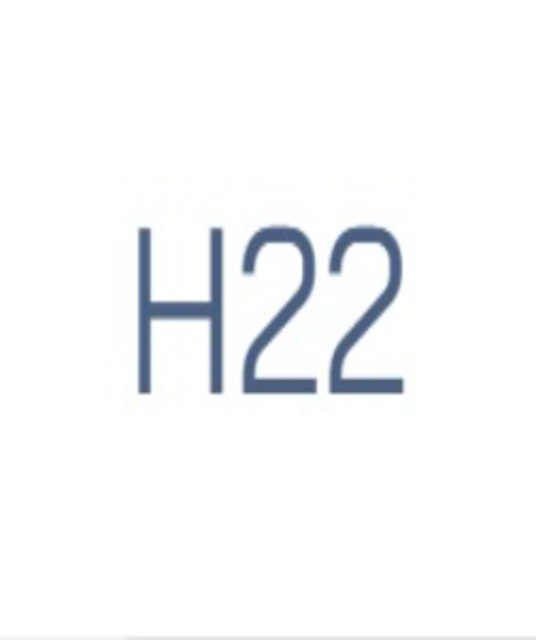 avatar H22