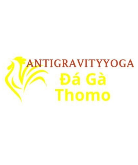 avatar Đá Gà Trực Tiếp Thomo