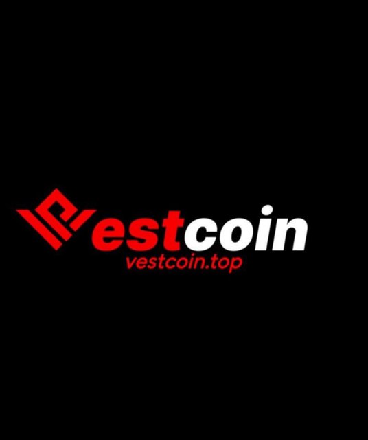 avatar vestcointop