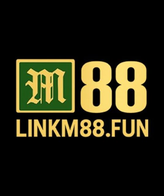 avatar linkm88fun