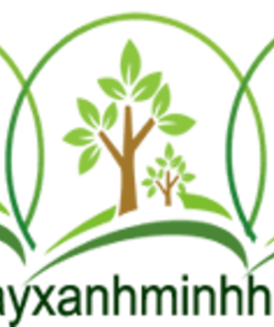 avatar Cây Xanh Minh Hiếu