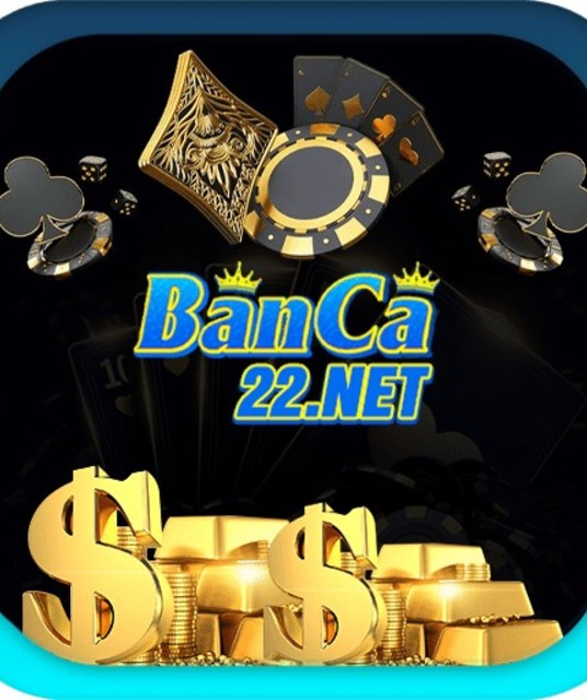 avatar banca22net