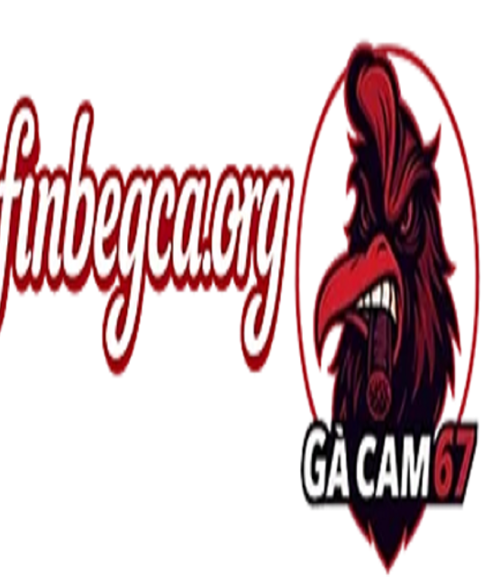 avatar GÀ CAM 67