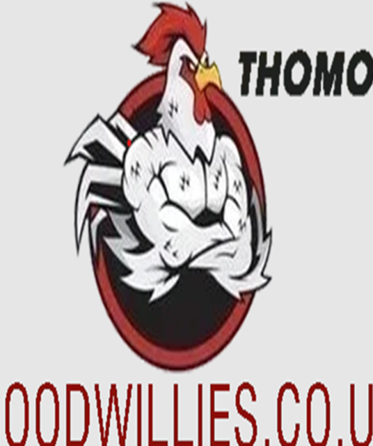 avatar ĐÁ GÀ TRỰC TIẾP THOMO VIN GOOD