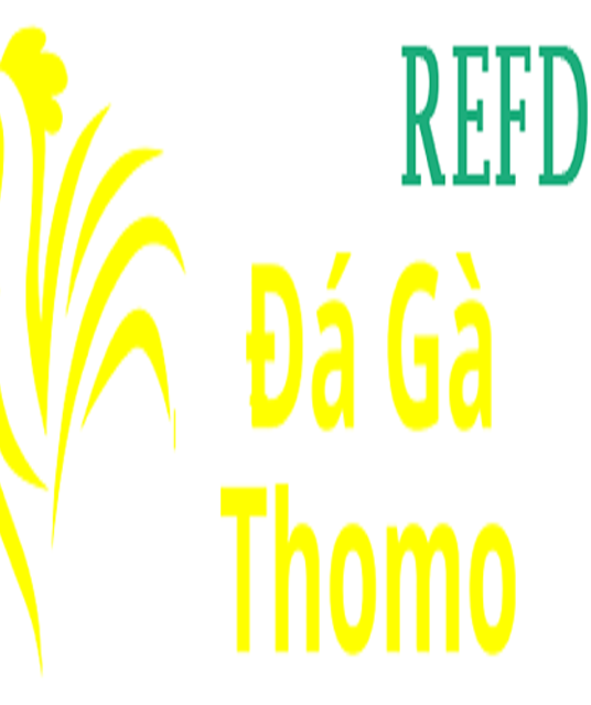 avatar Đá Gà Trực Tiếp Thomo