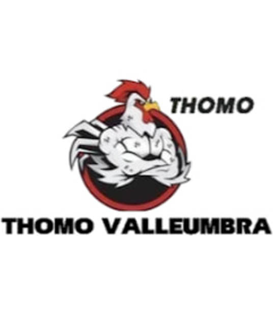 avatar TRỰC TIẾP ĐÁ GÀ THOMO HÔM NAY