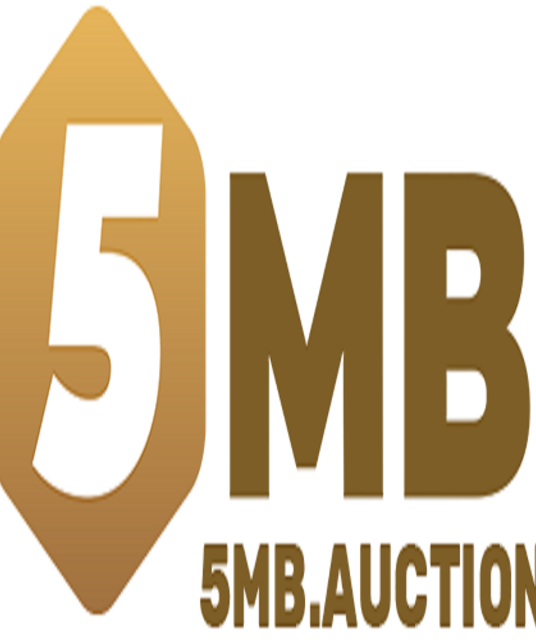 avatar 5MB auction