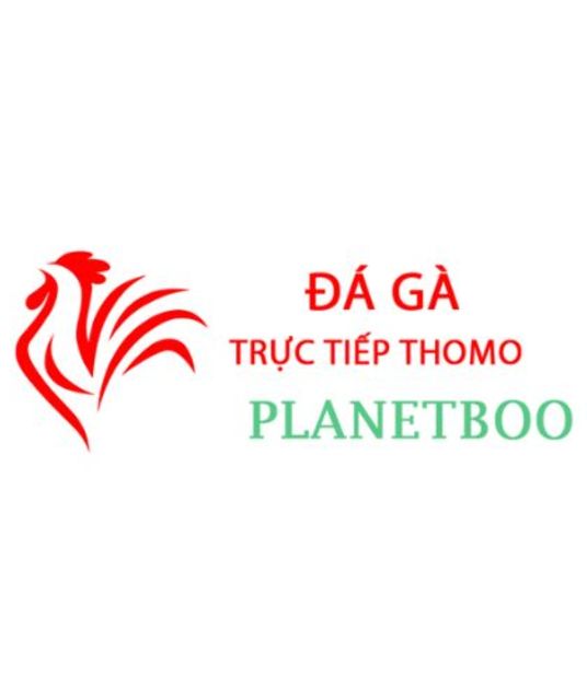 avatar Đá Gà Trực Tiếp Thomo