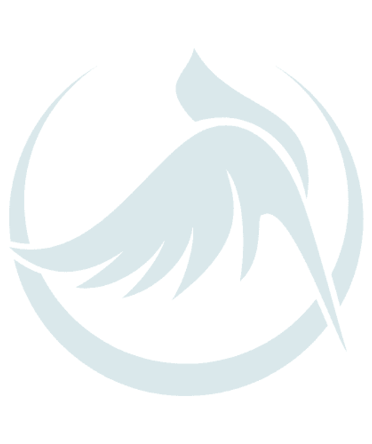 avatar chim canh quy tran