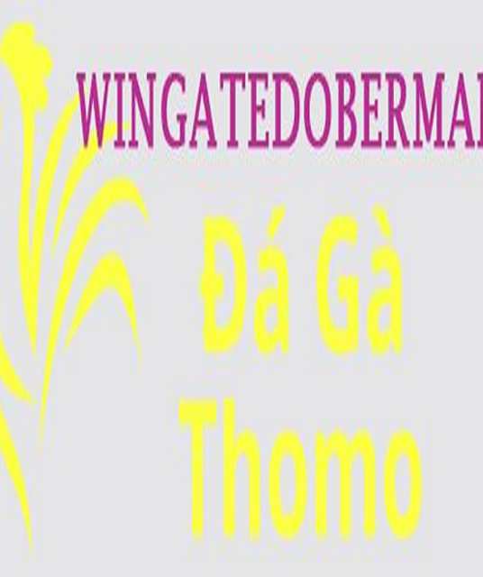 avatar Đá Gà Trực Tiếp Thomo