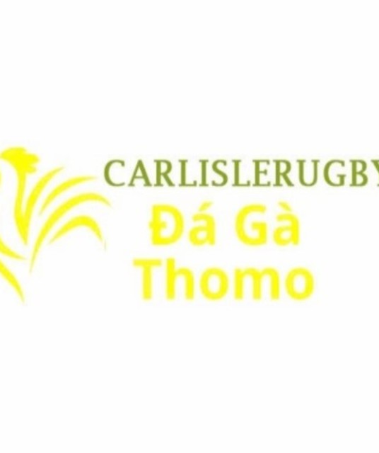 avatar Đá Gà Trực Tiếp Thomo