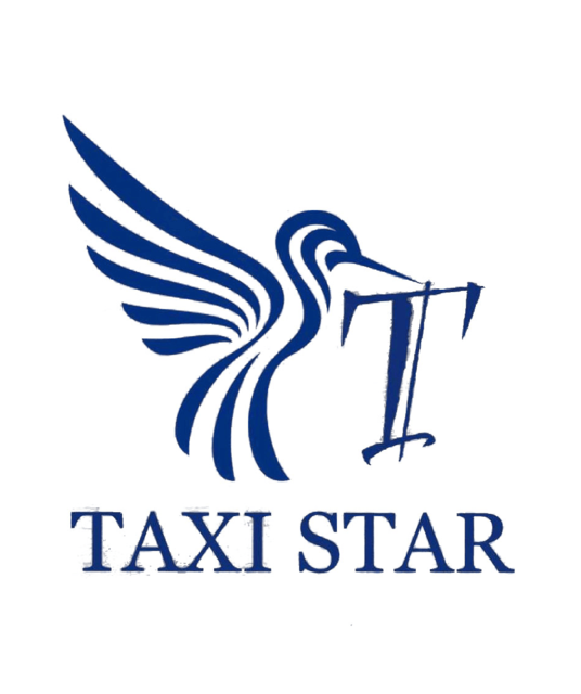 avatar Taxi Star