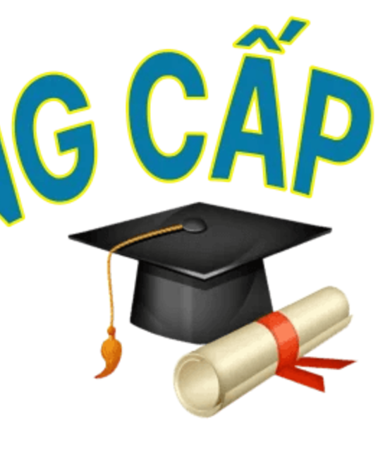 avatar Bằng cấp Uy tín 365