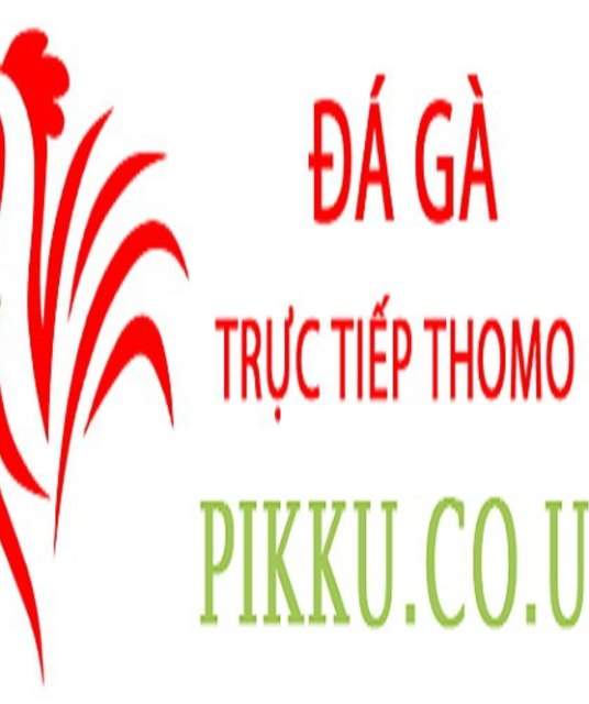 avatar Đá Gà Trực Tiếp Thomo