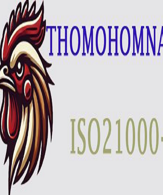 avatar Thomo Hôm Nay