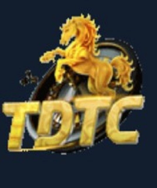 avatar TDTC Thiên Đường Trò Chơi