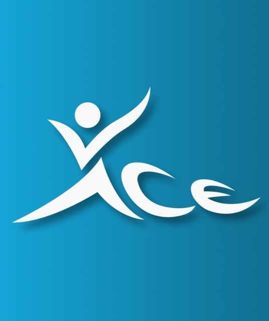 avatar Ace Volleyball Academy