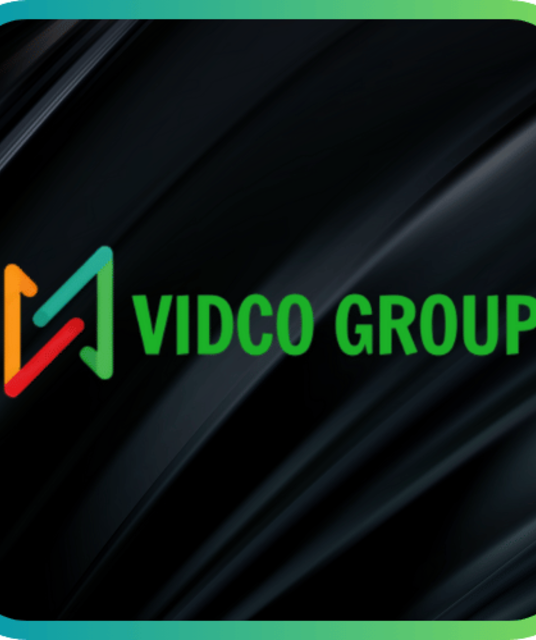 avatar vidco group