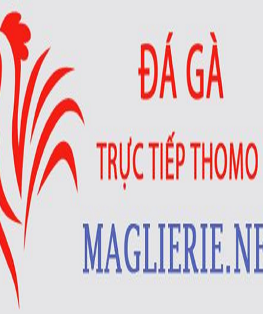 avatar Đá Gà Trực Tiếp Thomo