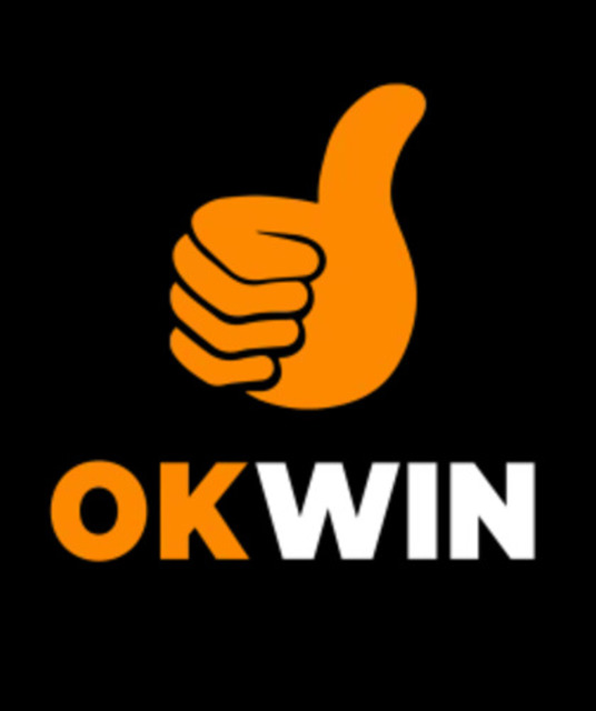 avatar okwinvietcom