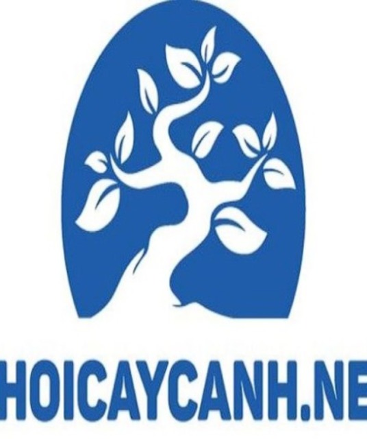 avatar choicaycanhnet1