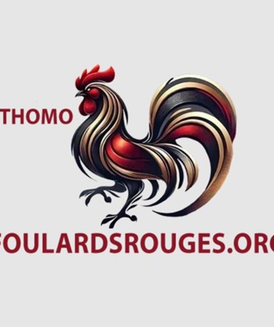 avatar ĐÁ GÀ THOMO TRỰC TIẾP FOU