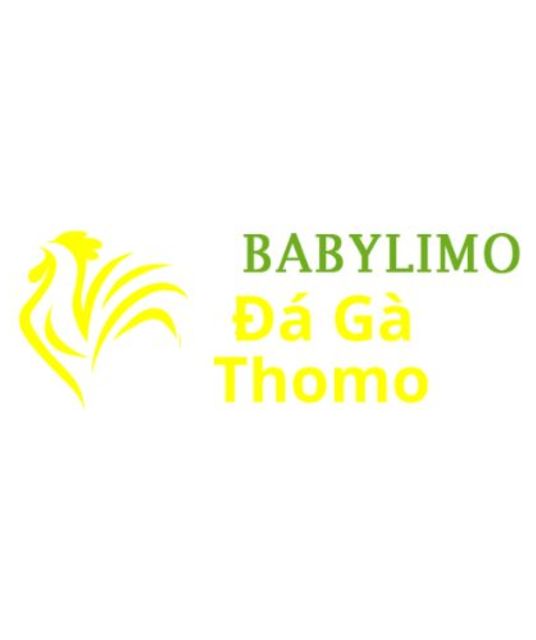 avatar Đá Gà Trực Tiếp Thomo