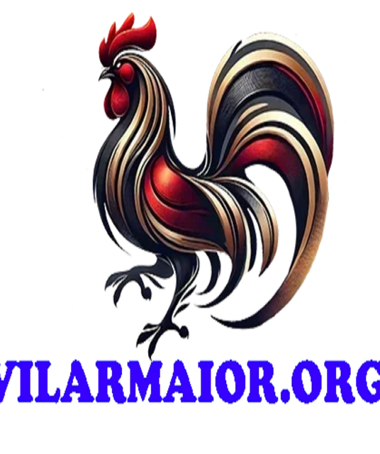 avatar ĐÁ GÀ THOMO TRỰC TIẾP RUN