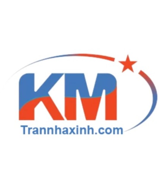 avatar Trần Nhà Xinh – Công Ty Thi Công Trần Xuyên Sáng UY TÍN Số 1