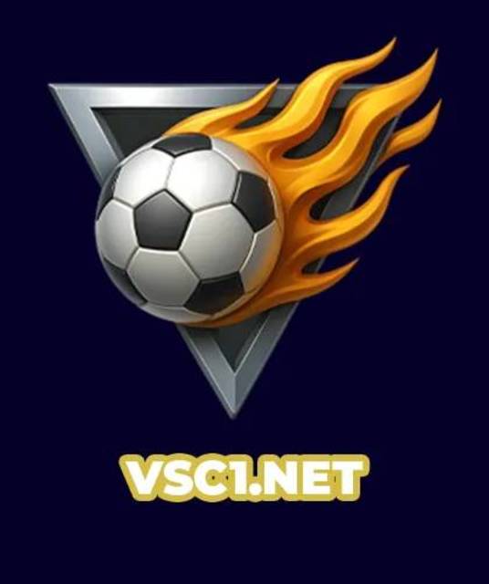 avatar VSC Vua Sân Cỏ