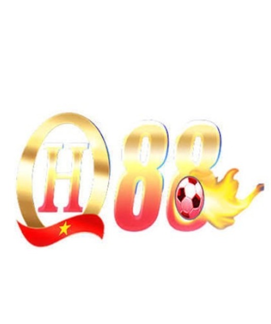 avatar qh88democrat