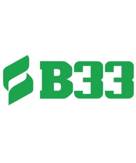 avatar B33