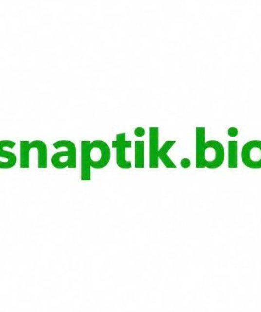 avatar snaptikbio1