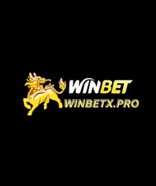 avatar Winbet