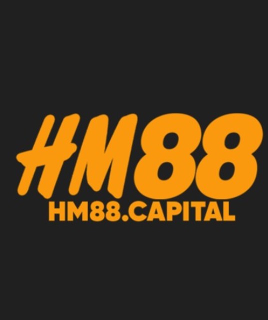 avatar hm88capital