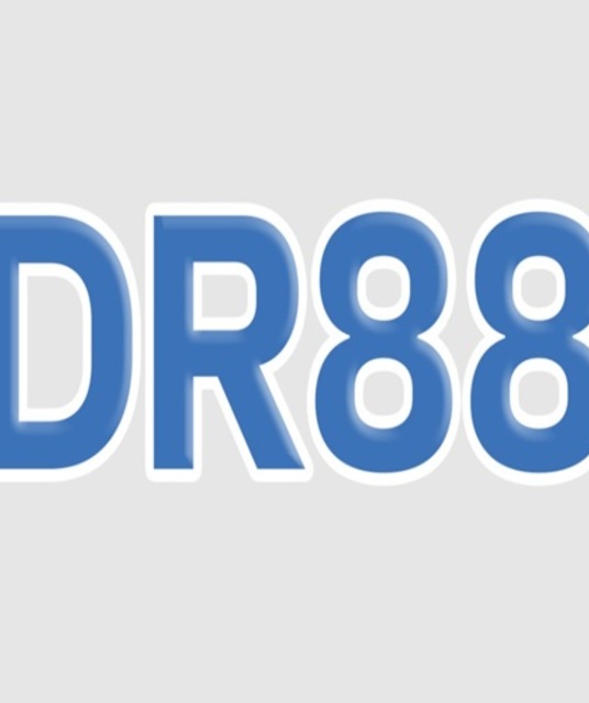 avatar Dr88day