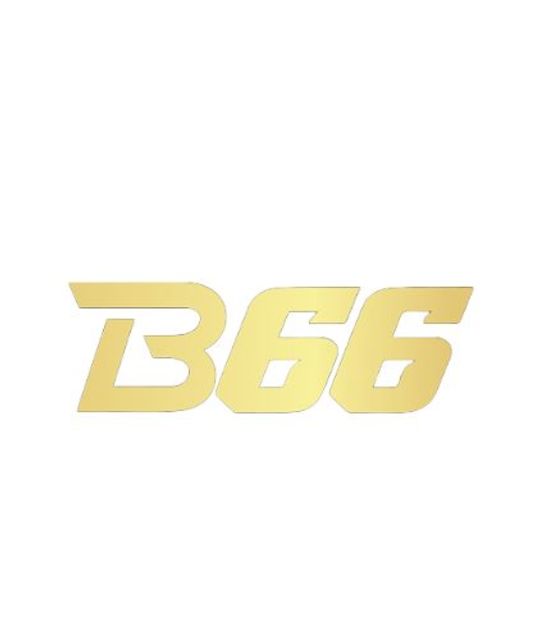 avatar B66
