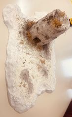 WhatsApp Image 2025-11-24 at 11.28.53.jpeg