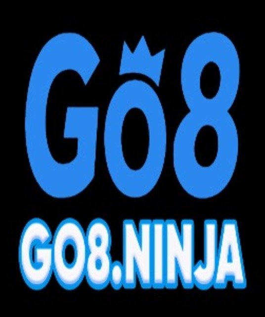 avatar Go8 ninja