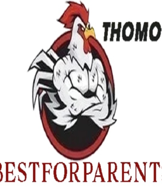 avatar Đá Gà Trực Tiếp