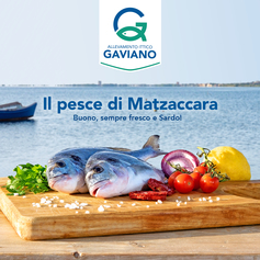 Gaviano è &quot;il pesce di Matzaccara&quot;