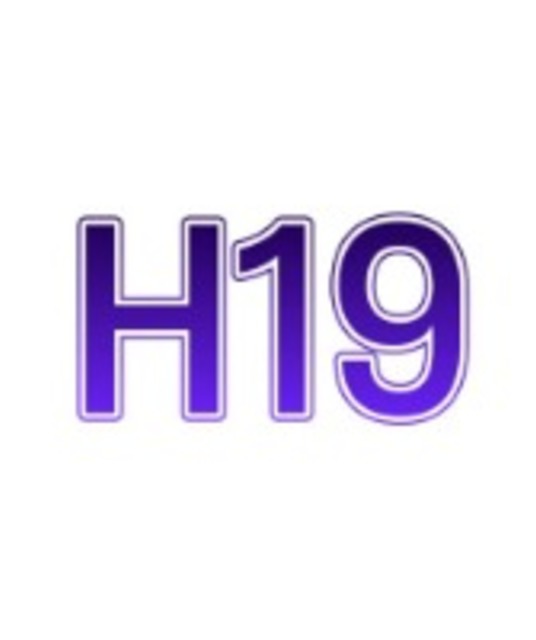 avatar H19rucom
