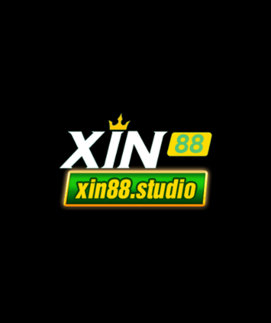 avatar xin88studio1