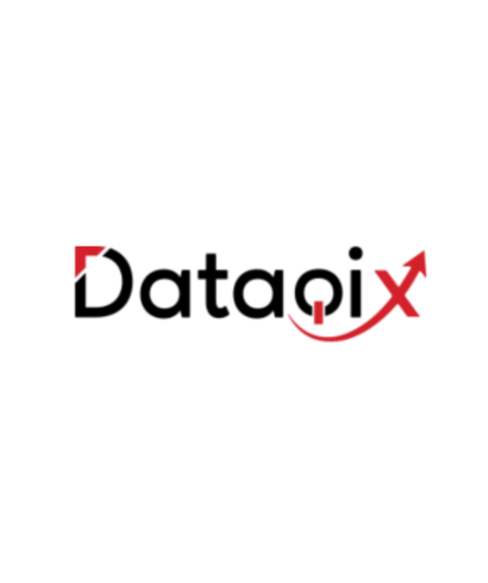 avatar Dataqix