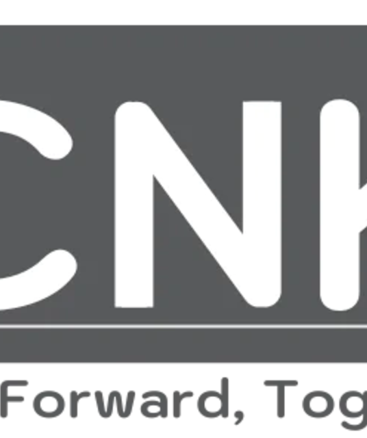 avatar CNK Consulting VietNam